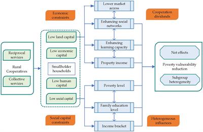 Can rural cooperatives reduce poverty vulnerability of smallholder households? Evidence from rural Western China